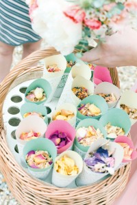copy-of-petal-confetti-jd-low-res